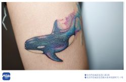 点击看大图 -MDZ STORE·TATTOO·耳饰