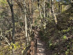 -王顺山国家森林公园