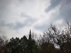 -宝石山
