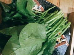 菠菜-湊湊火锅·茶憩(上海合生汇店)