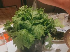 -古膳记猪肚鸡.生蚝鸡(拱北店)
