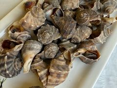 -宾朋海鲜特色美食餐厅·纯手工鲅鱼水饺(兴海路店)