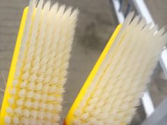 -长宁东道花卉宠物市场