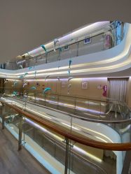 -爱弥儿月子中心(省医院店)