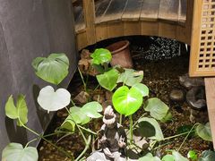 -邈墨茶馆(凤起路店)