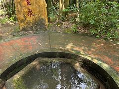 -大屏嶂森林公园