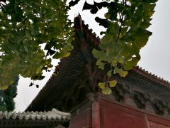 -天静宫