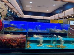 -苏格里岛自助烤肉海鲜火锅(成都金牛万达店)