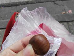 -金栗王(清扬路店)