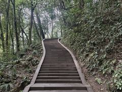 -青城山
