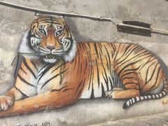 -槟城街头艺术街区