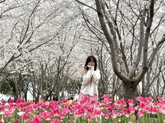 -上海山野camping·户外天幕烧烤·团建拓展营地