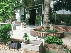 -陈岱后山窑鸡店