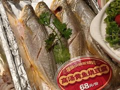 -福苗小骆驼烧烤(大唐不夜城店)