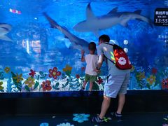 -烟台海昌鲸鲨海洋公园