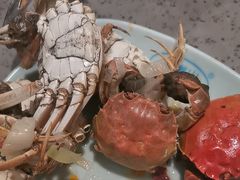 -金滏山烤肉·海鲜·火锅自助餐厅(襄阳万达店)