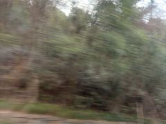 -平湖九龙山旅游度假区