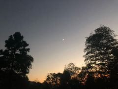 -大罗山风景区