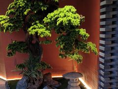 -阿伟海鲜楼·福建菜(延寿店)