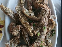 -阿军排档·烧烤