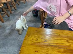 -蒋六十八梯眼镜面(狮子坪店)