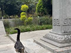 -包公祠
