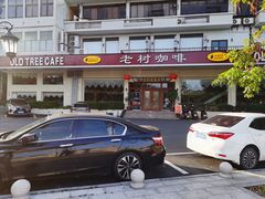 -OLD TREE老树咖啡·西餐厅(台山人工湖店)