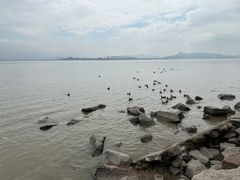-深圳湾公园(南山区)