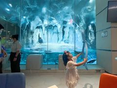 -帝企鹅自助餐厅•儿童岛•真企鹅(长隆企鹅酒店)