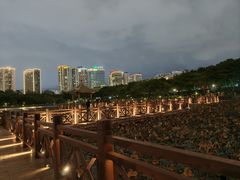 -南宁南湖公园