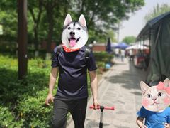 -西安汉城湖景区