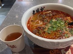 -老碗会·陕西手工面(燕南路店)
