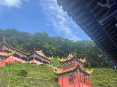 -东莞市大岭山森林公园