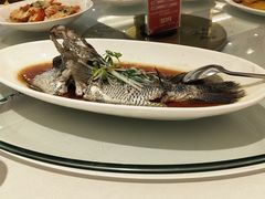 -骏莱海鲜鱼港(五角场店)