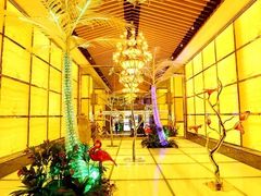 水晶椰子树-东方之珠洗浴休闲广场(大港店)