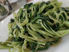 通菜-红日饭店(裕隆三路店)