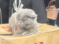 -簋街