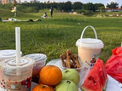 -风云岭森林公园