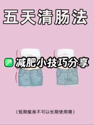 -Fundi张玉珊修身堂·indiba·BTL科技瘦身