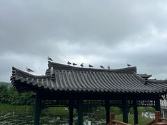 -珲春防川景区