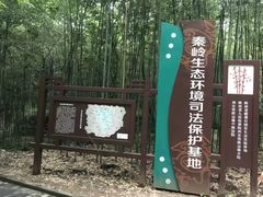 -终南山国家森林公园
