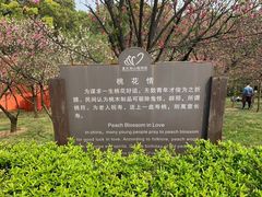 -南山植物园