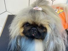 -萌兽医馆·眼科·异宠专科(三里屯店)