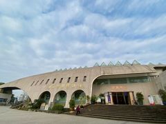 -自贡恐龙博物馆