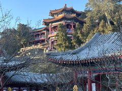 -宫事颐庭·老佛爷贵寿下午茶(颐和园店)