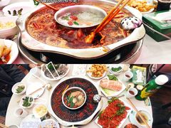 -枇杷园食为鲜火锅(南山店)