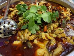 沸腾鱼-蜀膳坊(洪公祠小区店)