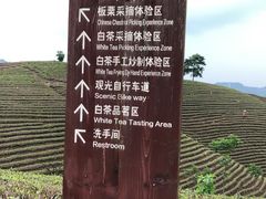 -帐篷客·溪龙茶谷度假酒店