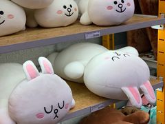 -line friends(明洞旗舰店)