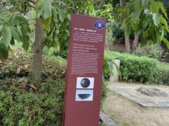 -草庵摩尼教遗址公园